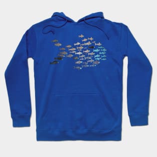 Return to school of fish Hoodie